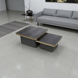 Exclusieve Set van 2 Salontafels – Visgraat  Doorlopend Gouden Accent