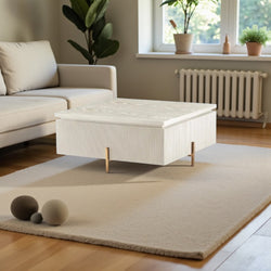 Japandi Salontafel Rechthoekig Goudkleurig – Mangohout