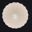 Plafondlamp led Dona 50