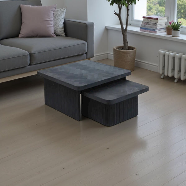 Luxe Set van 2 Salontafels – Visgraat Blad Zwart