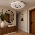 plafondlamp Led 3 kleuren afstandsbediening dimbaar 50 Ø