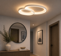 Plafondlamp Led Dimbaar Met Afstandsbediening 50 cm Dina