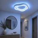 Plafondlamp Led Dimbaar Met Afstandsbediening 50 cm Rina