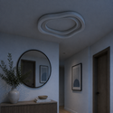 Plafondlamp Led Dimbaar Met Afstandsbediening 50 cm Rina