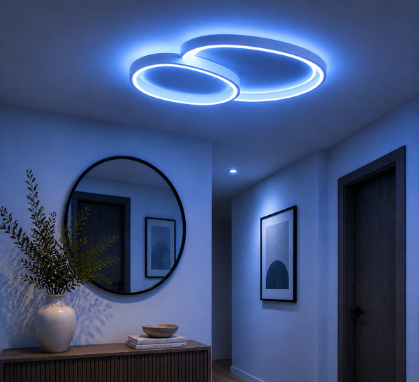 Plafondlamp Led Dimbaar Met Afstandsbediening 50 cm Dina