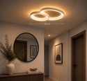 Plafondlamp Led Dimbaar Met Afstandsbediening 50 cm Dina