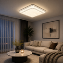 Plafondlamp led dimbaar 3 kleuren afstandsbediening 60x60cm