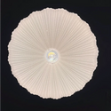 Plafondlamp led Dona 40